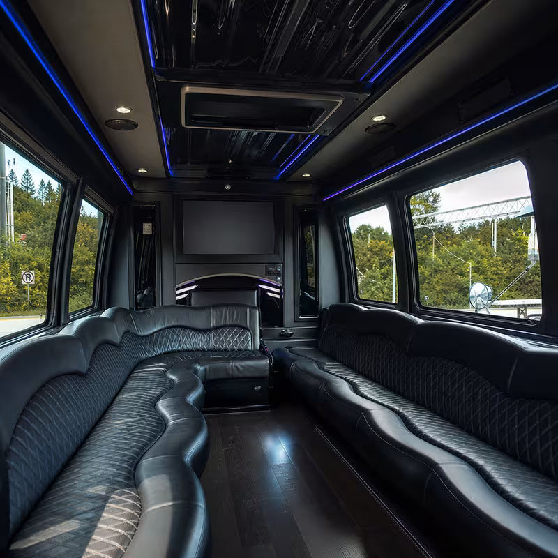 Passenger watching the Mobile scenery during a regional party bus road trip