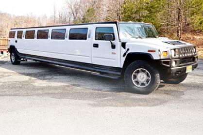 Mobile 15 Passenger Limo