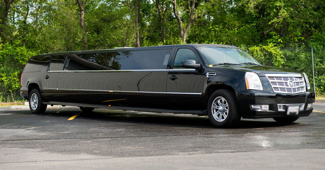 Mobile 20 Passenger Limo